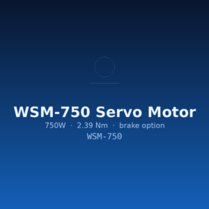 WSM-750 Servo Motor